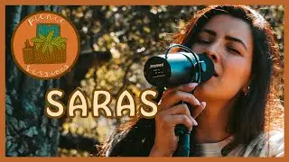 Don't Say It - SARAS // Picnic Sessions (Live @ Griffith Park, CA)