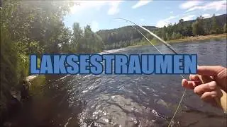 Laksestraumen - sone 3 - Mandalselven - afiskeir.dk