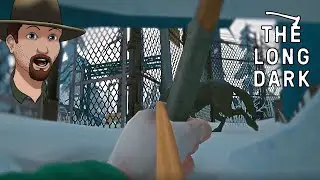 Wolf Ambush Trap- The Long Dark Interloper 2020 Gameplay E16