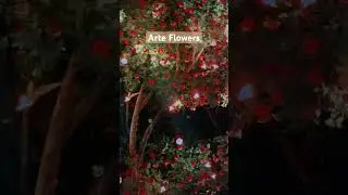 Flowers at ARTE MUSEUM #explorewithhong #lasvegas #arte #artemuseum #immersive