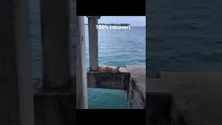 100% Introvert #nature #travel #peace #peaceful #introvert #youtubeshorts #shorts #sea #ocean