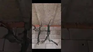 Electrical Conduit Installation #Shorts#electrical #works #construction #diy #home #plumbing