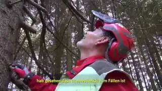 Der Forstunfall, PROTOS&reg; integral verhindert das Schlimmste