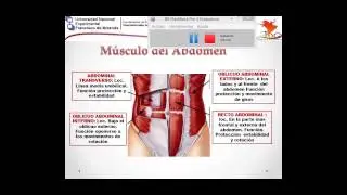 VIDEO CLASE FEDITIC-UNEFM