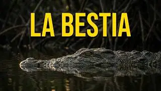 La triste historia del hombre que se vengó de un cocodrilo