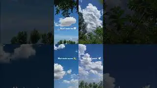 mun andhi saral nee bgm 🎶🎶Music ( medicine)✨ #whatsappstatus #bgm #lovesong #naturelovers #nature