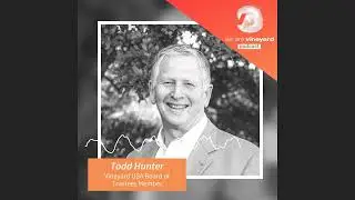 We Are Vineyard - Bishop Todd Hunter: From Calvary To Vineyard To Anglican Bishop
