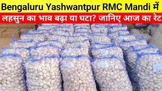 20/01/2026 Today garlic rate Bengaluru Yashwantpur market #garlicrate #lahsunbhav #garlic #lahsun 
