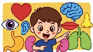 Body Parts Song for Kids | Learn Body Parts in English | Kids Learning Song | Toonrhymes