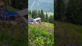 Zw&ouml;lferh&ouml;hen Berg  Salzkammergut Salzburg Austria #travel #nature #shorts #shortvideo #austria #usa