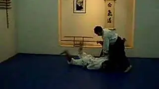 Aikido Camera - AikiCam - 5 kyu Tsuki Kotegaeshi 02