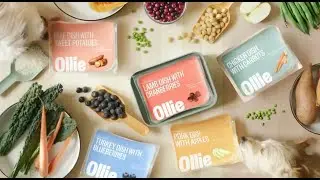 Ollie Pets Inc  (hypothetical)