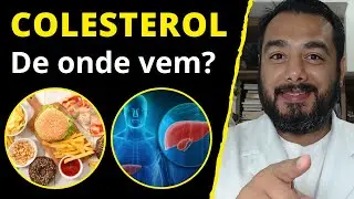 De onde vem o colesterol presente em nosso organismo | Colesterol como surge