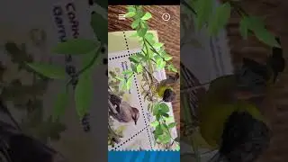 Почтовые марки с дополненной реальностью. Stamp is with augmented reality technology.