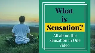 What is Sensation in psychology| Sensation process| Sensation in Urdu
