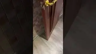 Laughing door