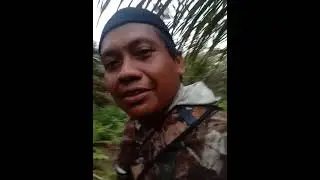 sepot istimewa