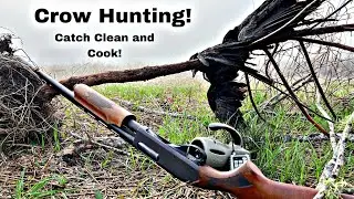 Crow Hunting in Backyard! (Catch,Clean and Cook in the Blind)