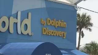 Gulf World Dolphins Sold