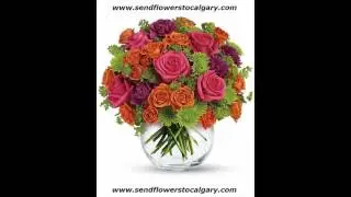 canada national flower and animal