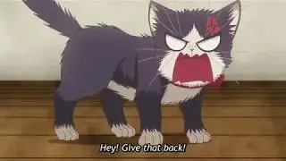 My Roommate is a Cat Episode 8 English Sub