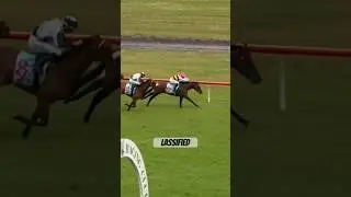 Скачки Wellesley Stakes 2026 (официально заявлены)