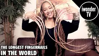 Meet The Woman With The Longest Fingernails In The World