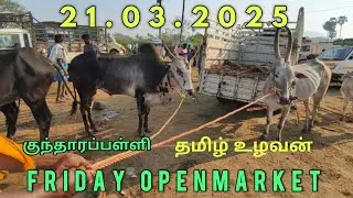 21.03.2025 kuntharapalli friday openmarket krishnagiri district