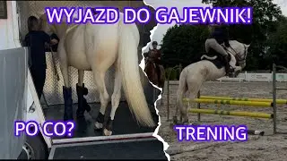 WYJAZD DO GAJEWNIK! / ODCINEK 1 / TRENING