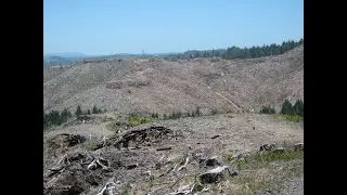Spiral Dynamics Integral Live: Ecological Collapse?