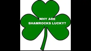 Shamrocks
