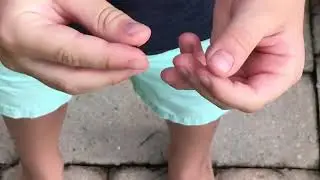 June Beetle