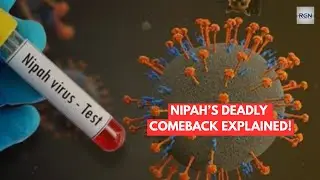 Deadly Nipah Virus Returns in Kerala | New Cases, Symptoms, Spread & Containment Explained