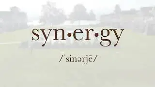 Synergy Landscape Design - Booking for Spring 2025
