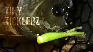 Tiny TicklerZ - Micro Finesse