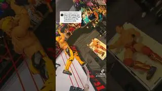 LOGAN PAUL FROG SPLASH THROUGH TABLE!!!!