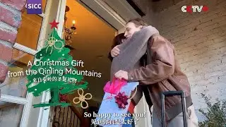 A Christmas Gift from the Qinling Mountains