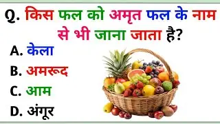 GK Question | GK In Hindi | GKQuestion and Answer |GK Quiz | Objective GK Question 