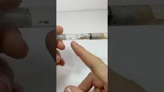 L&rsquo;erreur fatale pour vos &eacute;levages de fourmis !
