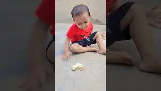 baby crying 😭| baby chick 🐥 is dead😢/ #trending  #viral  #youtubeshorts  #youtube