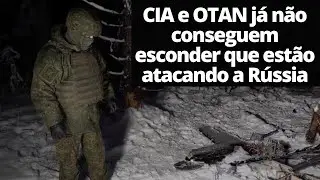 An&aacute;lise dos destro&ccedil;os dos drones confirma que o alvo era a resid&ecirc;ncia de Putin