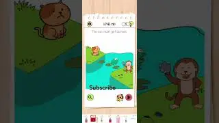 brain test All level 220
