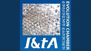 Evolution Chamber