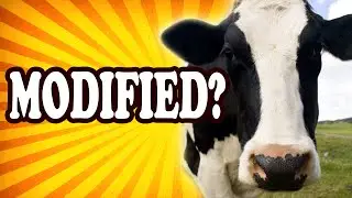 Top 10 Common Foods You Didn&rsquo;t Know Were Genetically Modified &mdash; TopTenzNet