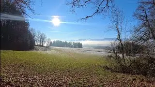 Sunny Winter Outing to Buchberg Summit: Group Hike in Salzburg's Flachgau Region