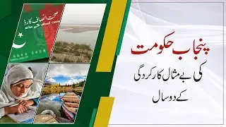 PTI's 2 Years Performance In Punjab