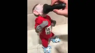 Monkey Shave