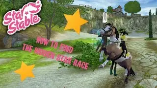 Star Stable Online | The Hidden Star Race | 