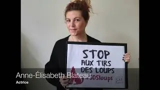 #SOSloups - Stop aux tirs des loups