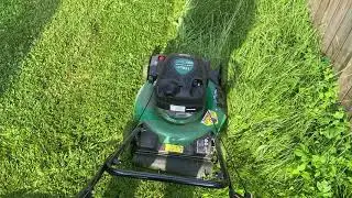 150cc Certified Canadian Tire Lawn Mower Cutting Through Tall Grass